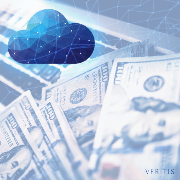 Cloud Cost Optimization and Management
