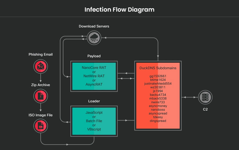 Infection Flow Diagram